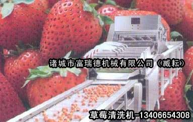 草莓清洗机