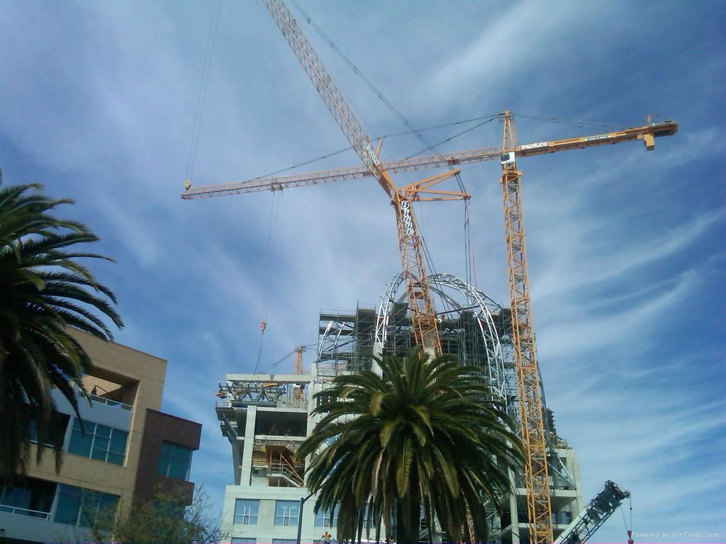 2.5 Ton Construction Tower Crane QTZ25-3008 for Sale 2