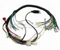 Honda motorcycle wiring harness  2