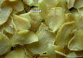 dehydrated garlic flakes 1