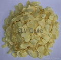 dehydrated garlic flakes 2