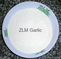 dehydrated garlic powder 2