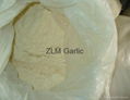 dehydrated garlic powder 3