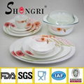 High Quality Opal Glassware Centrifuging Series Dinner Set 1