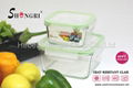 heat-resistant glass food storage container 1