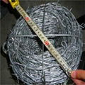 electro galvanized barbed wire 2