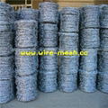 electro galvanized barbed wire 3