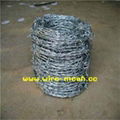 electro galvanized barbed wire 5