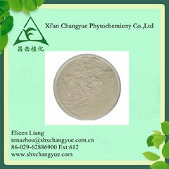  	Fucoidan 10%-95% Purity 