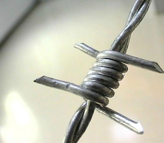 barbed wire 3