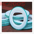 PTFE Envelope G