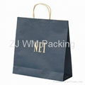 Printed Cheap Luxury Paper Shopping Bag with Satin Handles 1