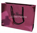 Printed Cheap Luxury Paper Shopping Bag with Satin Handles 3