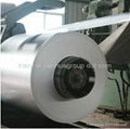 Hot dipped  Galvanized Steel Coil 1