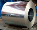 Hot dipped  Galvanized Steel Coil 4