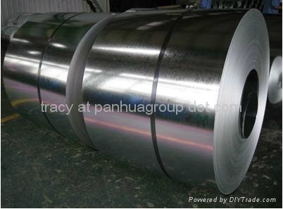 GI COIL/galvanized steel sheet  3