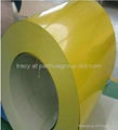 CGCC grade ppgi coil and sheet 3