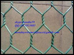 Hexagonal Wire Netting