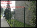 hot sale! galvanized wire mesh fence 3