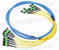 MPO MTP Trunk Cable Assemblies fiber