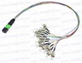 MPO MTP Hydra Cable Assemblies fiber