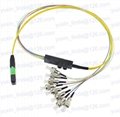 MPO MTP Harness Cable Assemblies fiber optic cable