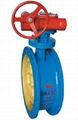 water type butterfly valves 1