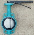 Wafer Type Central line Butterfly valve 2