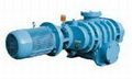 ZJ Vacuum Pump 1