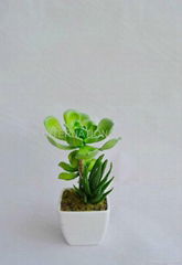 artificial plant