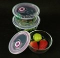 3 PCS Clear Glass Bowl Set with Date Marked Airtight Lids 1