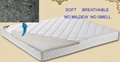 POE trussed mattress(Polymer Elastic Mattress) 3