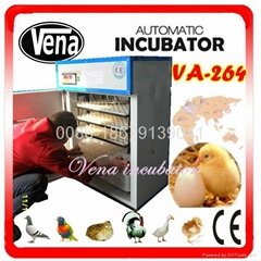 Full automatic chicken incubator for 264 eggs