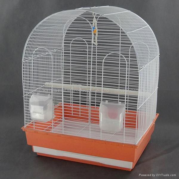 budgie parrot cage 5