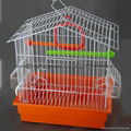 Salable small bird cage high quality 2