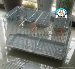 multilayers bird breeding cages