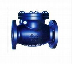 JIS F73727373 510K casting iron marine swing check valves