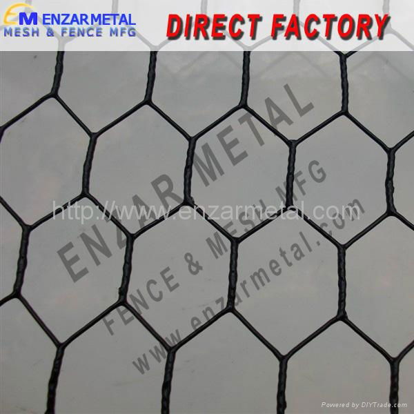 Chicken Wire  Hexagonal Wire Mesh  2