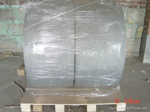 Hexagonal Wire Mesh Made of Galvanized or PVC-coated 2