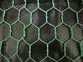 Hexagonal Wire Mesh Made of Galvanized or PVC-coated 4