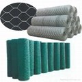 Hexagonal Wire Mesh Made of Galvanized or PVC-coated 5
