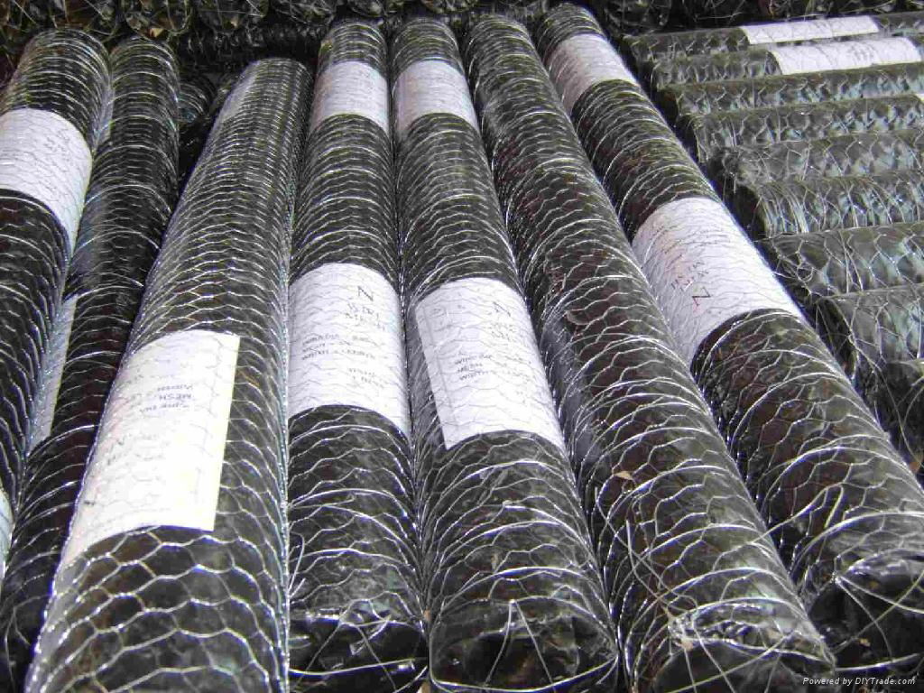 Reverse twisted Galvanized Hexagonal Wire Mesh with Reinforcement Extension Line 4