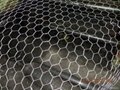 Hexagonal Wire Mesh with 0.5 to 3mm Wire Diameter  2