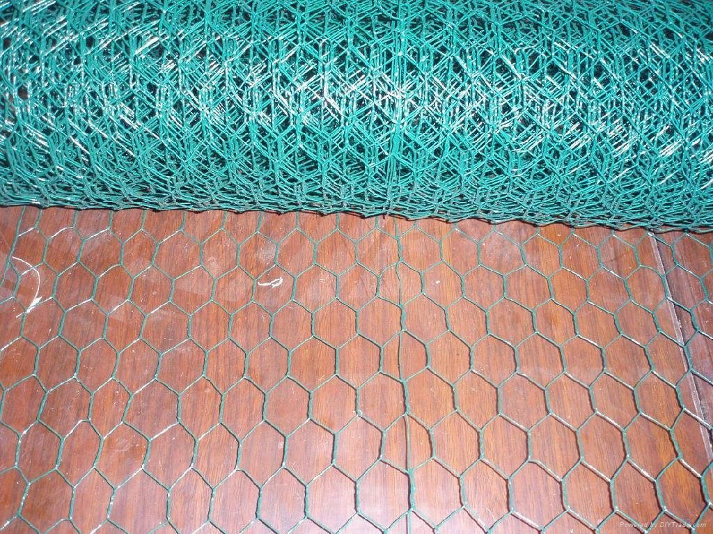 PVC-coated hexagonal wire mesh  4