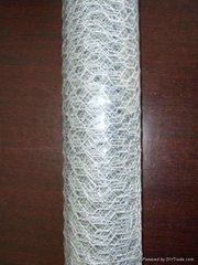 Hexagonal Galvanized Wire Mesh for Chicken Fence and Poultry Cage
