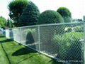 Woven fence in China with Galvanized and PVC coated 4