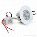 3W cool white ceiling light