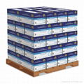 HammerMill Copy Plus Copy Paper  8.5 ich x 11 Inch  per Case 1