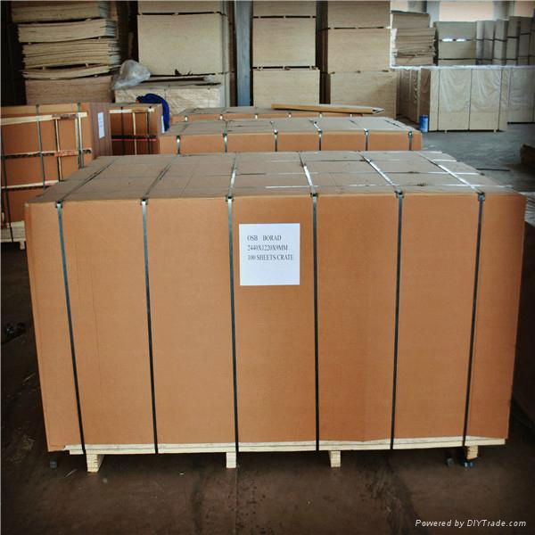osb plywood China construction material