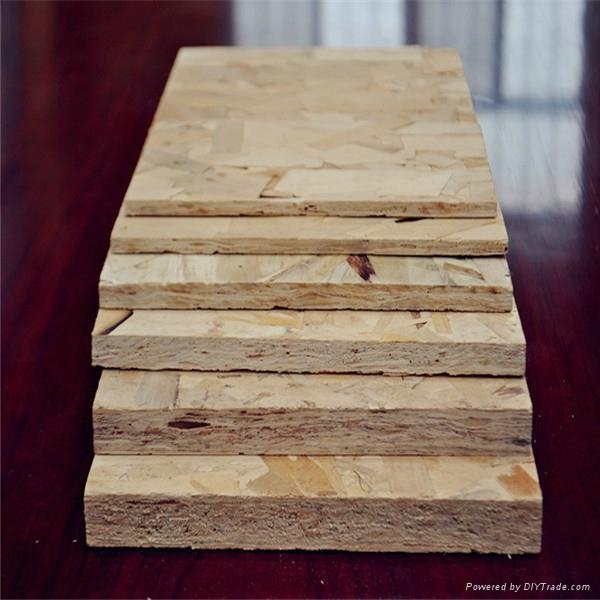 osb plywood China construction material 2